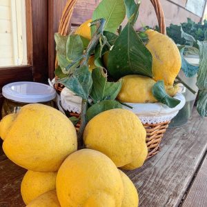 Limoni (prezzo/kg)